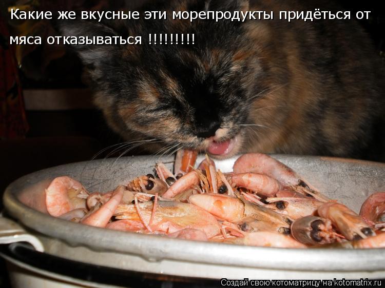 Какие же вкусные эти морепродукты придёться от мяса отказываться !!!!!!!!!... Котоматрица: Какие же вкусные эти морепродукты придёться от мяса отказываться !!!!!!!!!