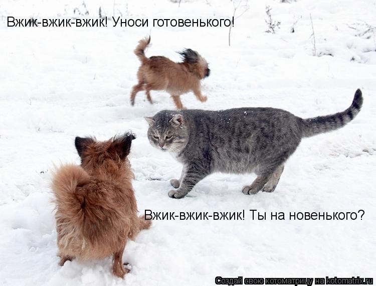 Вжик-вжик-вжик! Уноси готовенького! Вжик-вжик-вжик! Ты на новенького?... Котоматрица: Вжик-вжик-вжик! Уноси готовенького! Вжик-вжик-вжик! Ты на новенького?