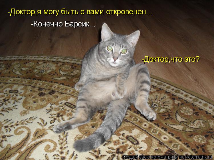 -Доктор,я могу быть с вами откровенен... -Конечно Барсик... -Доктор,что это?... Котоматрица: -Доктор,я могу быть с вами откровенен... -Конечно Барсик... -Доктор,что это?