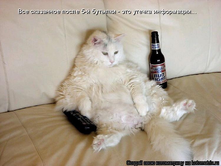Все сказанное после 5-й бутылки - это утечка информации...... Котоматрица: Все сказанное после 5-й бутылки - это утечка информации...