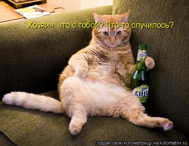 Хозяин, что с тобой? Что-то случилось?... Котоматрица: Хозяин, что с тобой? Что-то случилось?
