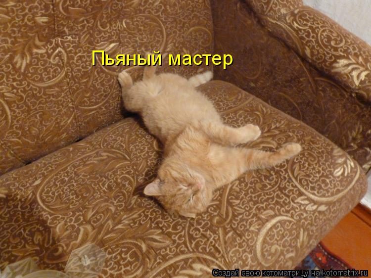 Пьяный мастер... Котоматрица: Пьяный мастер