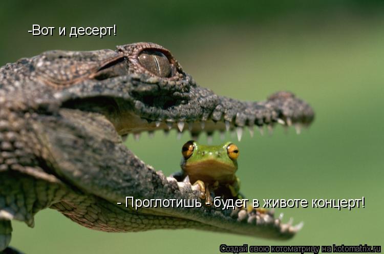 -Вот и десерт! - Проглотишь - будет в животе концерт!... Котоматрица: -Вот и десерт! - Проглотишь - будет в животе концерт!