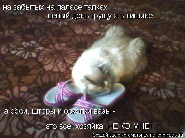 Котоматрица: на забытых на паласе тапках целый день грущу я в тишине... а обои, шторы и осколки вазы -  это всё, хозяйка, НЕ КО МНЕ!
