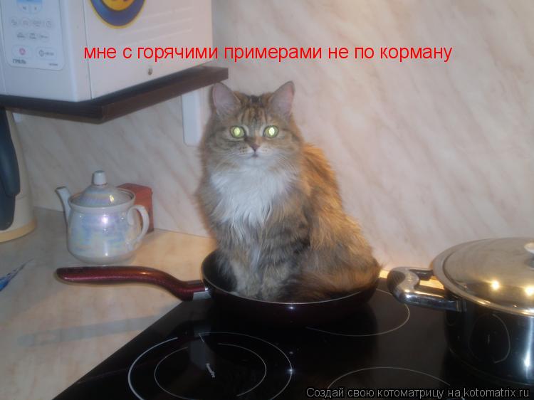 мне с горячими примерами не по корману... Котоматрица: мне с горячими примерами не по корману
