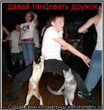 давай танцевать дружок... Котоматрица: давай танцевать дружок