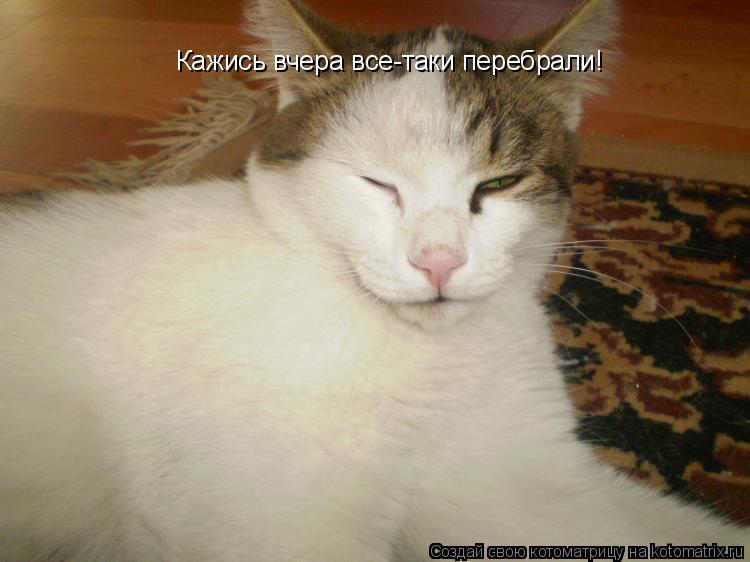 Кажись вчера все-таки перебрали!... Котоматрица: Кажись вчера все-таки перебрали!