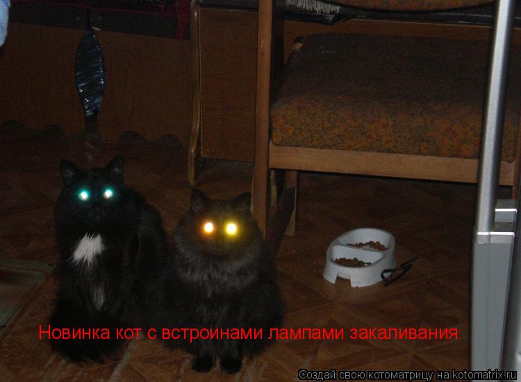 Новинка кот с встроинами лампами закаливания... Котоматрица: Новинка кот с встроинами лампами закаливания