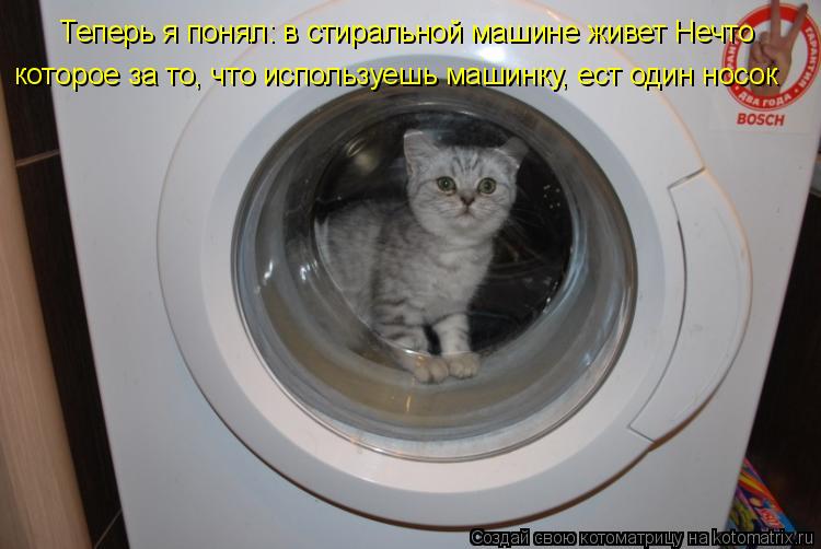 Котоматрица: Теперь я понял: в стиральной машине живет Нечто которое за то, что используешь машинку, ест один носок