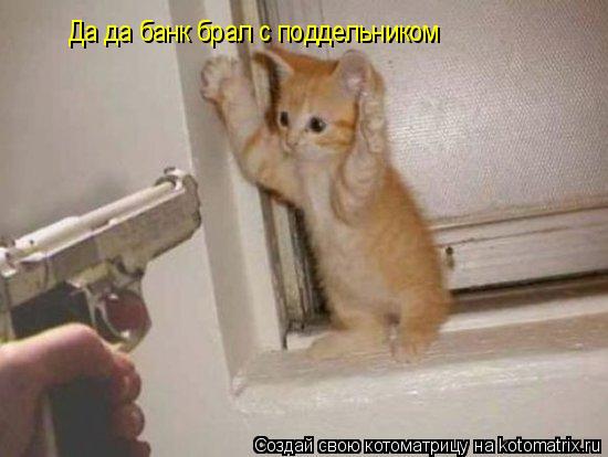 Котоматрица: Да да банк брал с поддельником