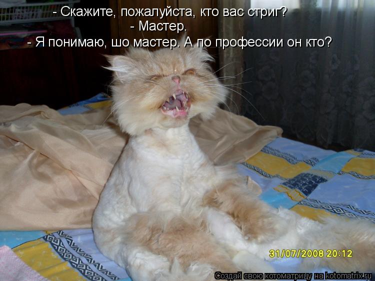 Котоматрица: - Скажите, пожалуйста, кто вас стриг? - Мастер. - Я понимаю, шо мастер. А по профессии он кто?
