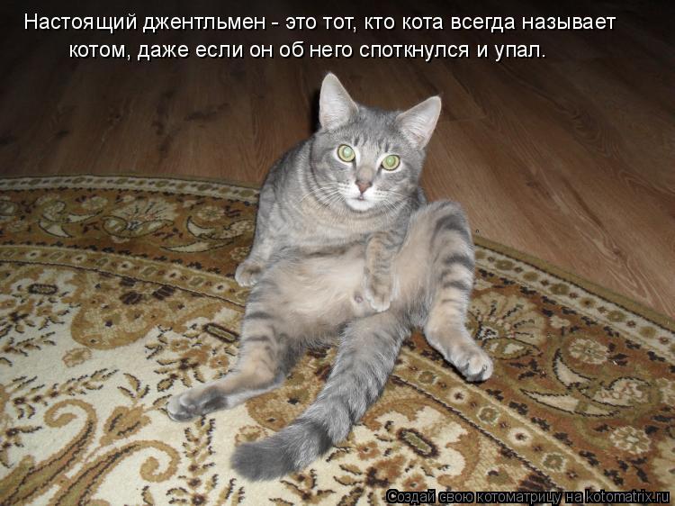 Котоматрица: Настоящий джентльмен - это тот, кто кота всегда называет котом, даже если он об него споткнулся и упал.