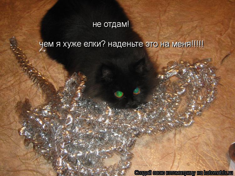 не отдам! чем я хуже елки? наденьте это на меня!!!!!... Котоматрица: не отдам! чем я хуже елки? наденьте это на меня!!!!!