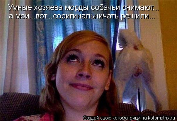 Котоматрица: Умные хозяева морды собачьи снимают... а мои...вот...соригинальничать решили...