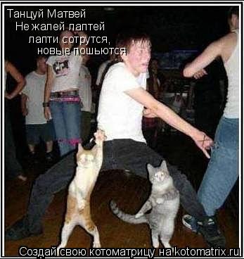 Котоматрица: Танцуй Матвей Не жалей лаптей лапти сотрутся, новые пошьются