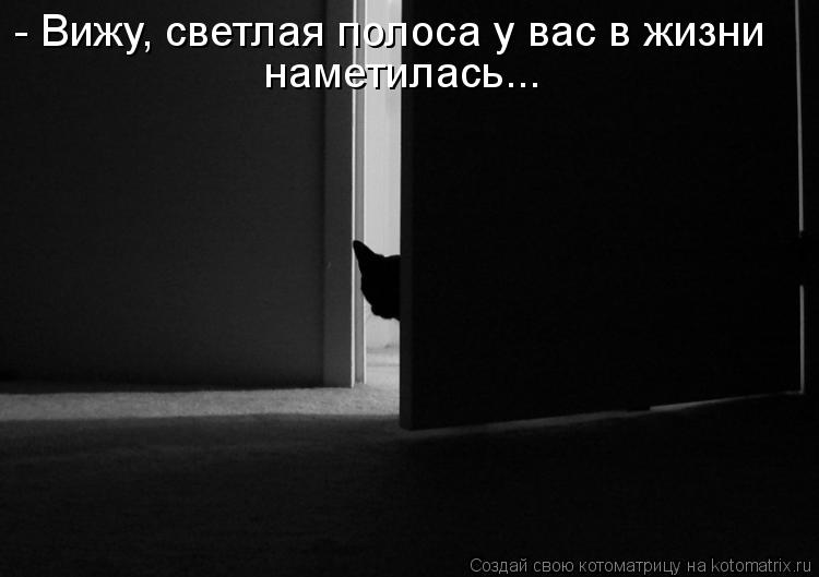 - Вижу, светлая полоса у вас в жизни наметилась...... Котоматрица: - Вижу, светлая полоса у вас в жизни наметилась...