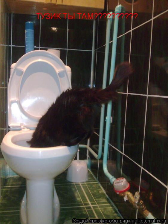 ТУЗИК ТЫ ТАМ??????????... Котоматрица: ТУЗИК ТЫ ТАМ??????????