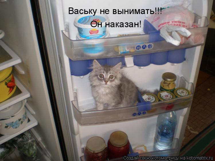 Ваську не вынимать!!! Он наказан!... Котоматрица: Ваську не вынимать!!! Он наказан!