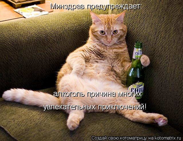Минздрав предупреждает: алкоголь причина многих увлекательных приключений!... Котоматрица: Минздрав предупреждает: алкоголь причина многих увлекательных приключений!