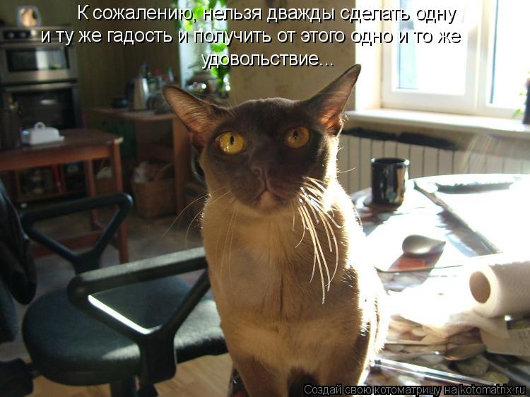 К сожалению, нельзя дважды сделать одну и ту же гадость и получить от этого одно и то же удовольствие... Котоматрица: К сожалению, нельзя дважды сделать одну и ту же гадость и получить от этого одно и то же удовольствие...