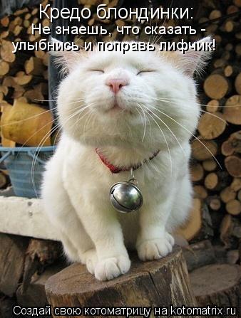 Кредо блондинки: Не знаешь, что сказать - улыбнись и поправь лифчик!... Котоматрица: Кредо блондинки: Не знаешь, что сказать - улыбнись и поправь лифчик!