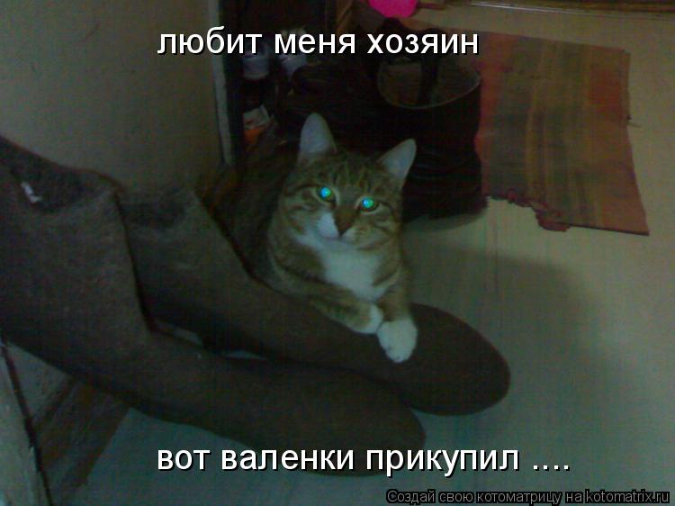 любит меня хозяин вот валенки прикупил ....... Котоматрица: любит меня хозяин вот валенки прикупил ....