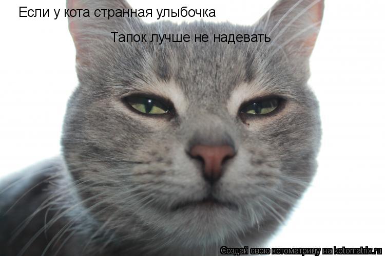 Если у кота странная улыбочка Тапок лучше не надевать... Котоматрица: Если у кота странная улыбочка Тапок лучше не надевать