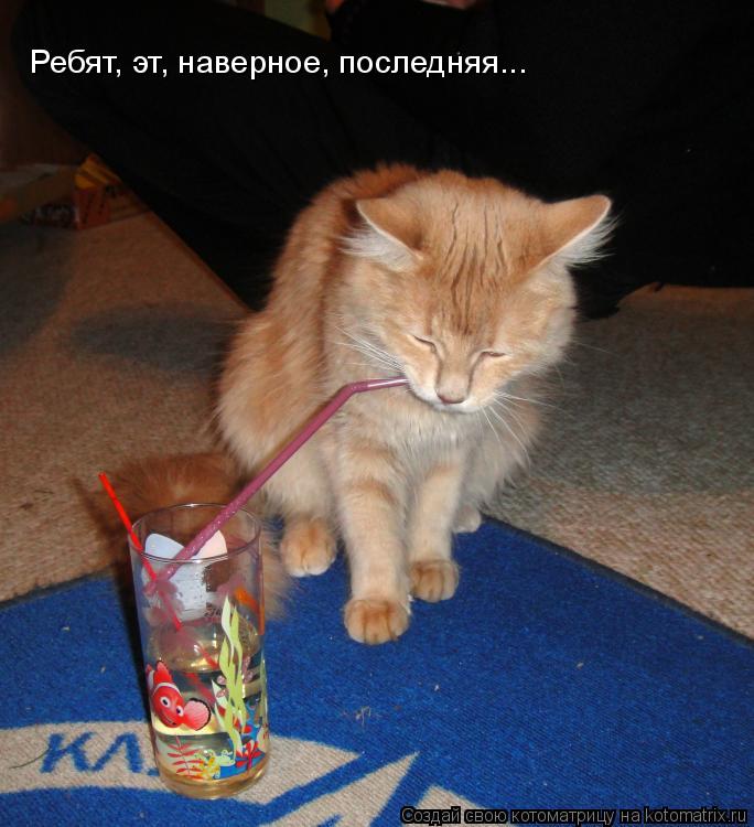 Ребят, эт, наверное, последняя...... Котоматрица: Ребят, эт, наверное, последняя...