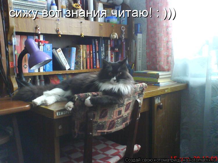 сижу вот знания читаю! : )))... Котоматрица: сижу вот знания читаю! : )))