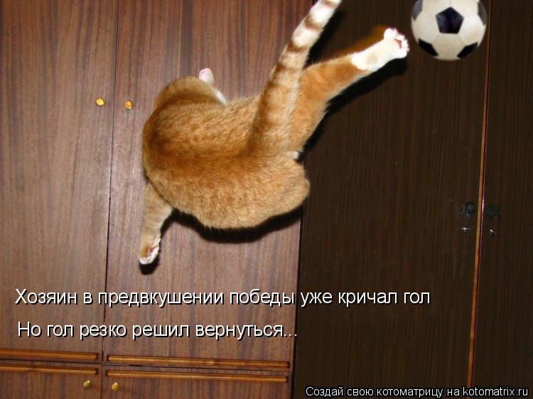 Хозяин в предвкушении победы уже кричал гол Но гол резко решил вернуться...... Котоматрица: Хозяин в предвкушении победы уже кричал гол Но гол резко решил вернуться...