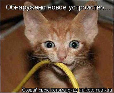 Обнаружено новое устройство...... Котоматрица: Обнаружено новое устройство...