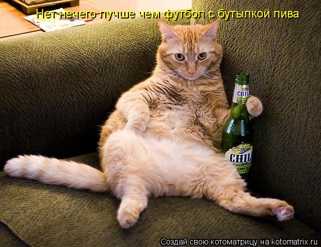 Нет нечего лучше чем футбол с бутылкой пива... Котоматрица: Нет нечего лучше чем футбол с бутылкой пива
