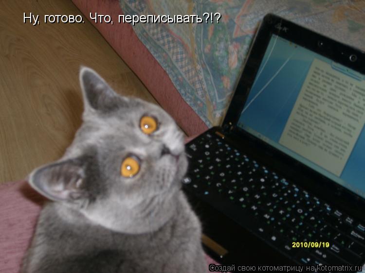 Ну, готово. Что, переписывать?!?... Котоматрица: Ну, готово. Что, переписывать?!?