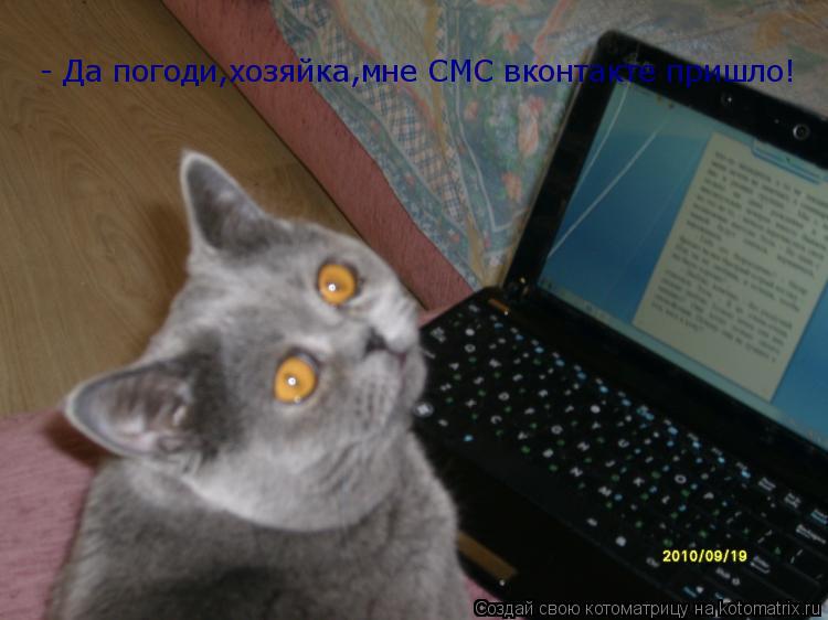 - Да погоди,хозяйка,мне СМС вконтакте пришло!... Котоматрица: - Да погоди,хозяйка,мне СМС вконтакте пришло!