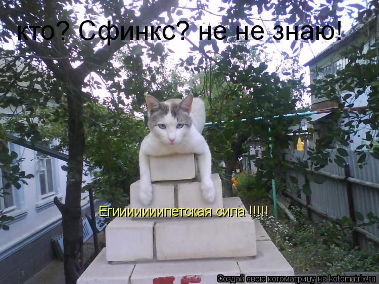 Егииииииипетская сила !!!!! кто? Сфинкс? не не знаю!... Котоматрица: Егииииииипетская сила !!!!! кто? Сфинкс? не не знаю!