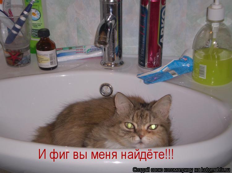 И фиг вы меня найдёте!!!... Котоматрица: И фиг вы меня найдёте!!!