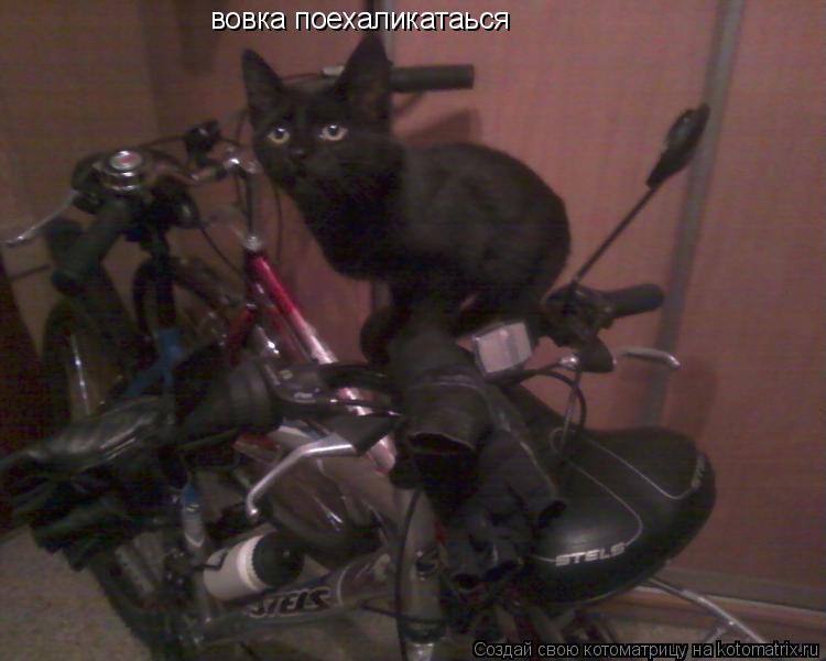 Котоматрица: вовка поехаликатаься