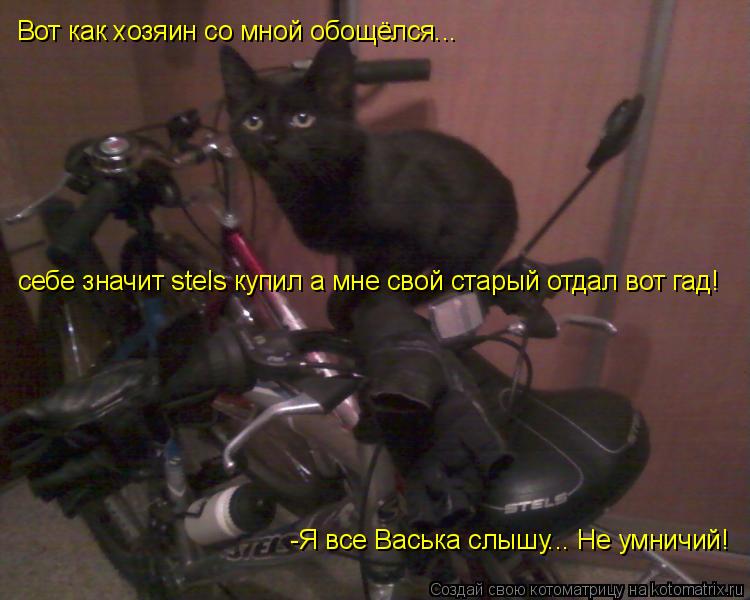 Вот как хозяин со мной обощёлся... себе значит stels купил а мне свой старый отдал вот гад! -Я все Ва... Котоматрица: Вот как хозяин со мной обощёлся... себе значит stels купил а мне свой старый отдал вот гад! -Я все Васька слышу... Не умничий!