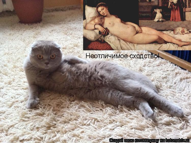 Неотличимое сходство!... Котоматрица: Неотличимое сходство!