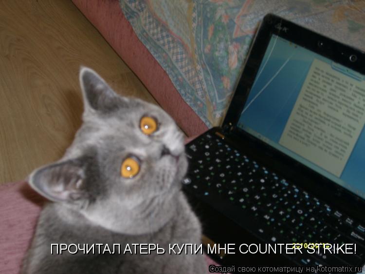 ПРОЧИТАЛ АТЕРЬ КУПИ МНЕ COUNTER STRIKE!... Котоматрица: ПРОЧИТАЛ АТЕРЬ КУПИ МНЕ COUNTER STRIKE!