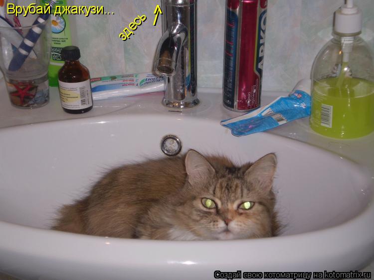Врубай джакузи... здесь / ^... Котоматрица: Врубай джакузи... здесь / ^