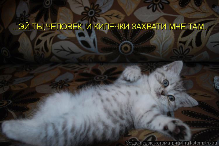 ...ЭЙ ТЫ,ЧЕЛОВЕК, И КИЛЕЧКИ ЗАХВАТИ МНЕ ТАМ...... Котоматрица: ...ЭЙ ТЫ,ЧЕЛОВЕК, И КИЛЕЧКИ ЗАХВАТИ МНЕ ТАМ...