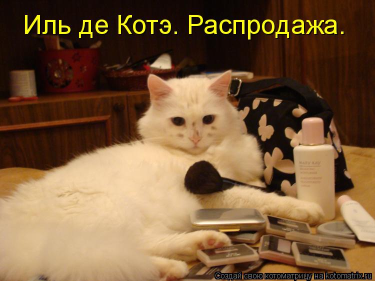 Иль де Котэ. Распродажа.... Котоматрица: Иль де Котэ. Распродажа.
