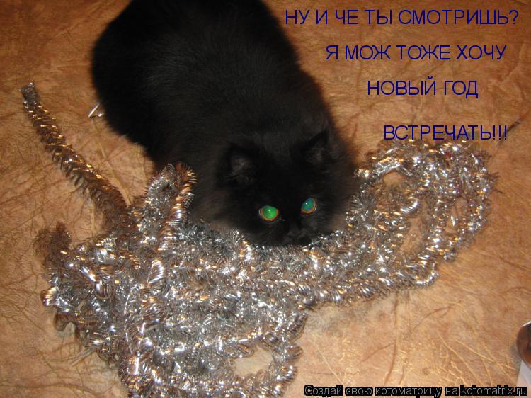 НУ И ЧЕ ТЫ СМОТРИШЬ? Я МОЖ ТОЖЕ ХОЧУ НОВЫЙ ГОД ВСТРЕЧАТЬ!!!... Котоматрица: НУ И ЧЕ ТЫ СМОТРИШЬ? Я МОЖ ТОЖЕ ХОЧУ НОВЫЙ ГОД ВСТРЕЧАТЬ!!!