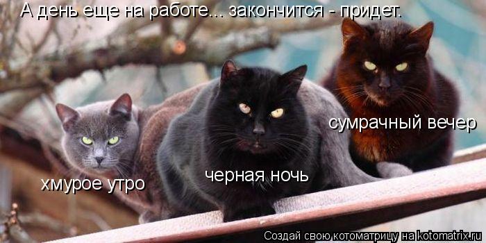 хмурое утро черная ночь сумрачный вечер А день еще на работе... закончится - придет.... Котоматрица: хмурое утро черная ночь сумрачный вечер А день еще на работе... закончится - придет.