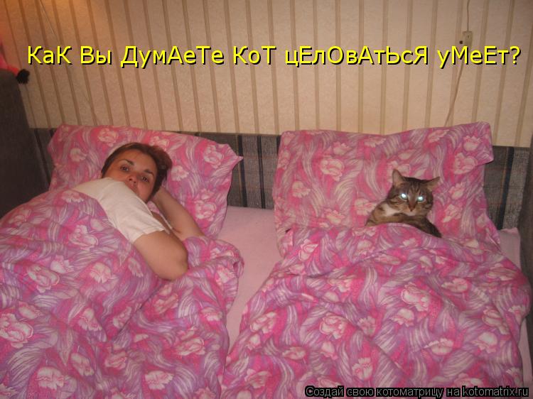 КаК Вы ДумАеТе КоТ цЕлОвАтЬсЯ уМеЕт?... Котоматрица: КаК Вы ДумАеТе КоТ цЕлОвАтЬсЯ уМеЕт?