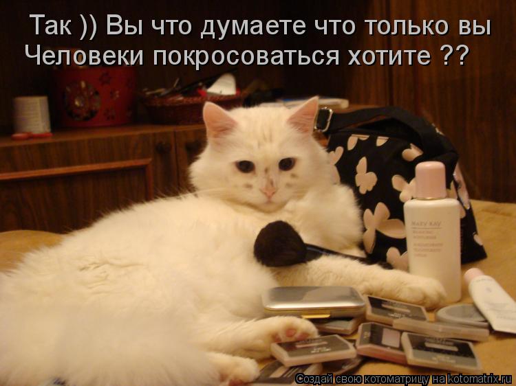 Так )) Вы что думаете что только вы Человеки покросоваться хотите ??... Котоматрица: Так )) Вы что думаете что только вы Человеки покросоваться хотите ??