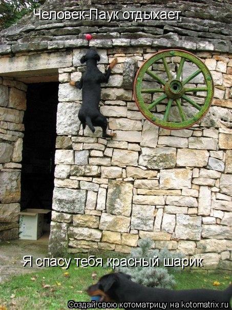 Человек-Паук отдыхает, Я спасу тебя красный шарик... Котоматрица: Человек-Паук отдыхает, Я спасу тебя красный шарик