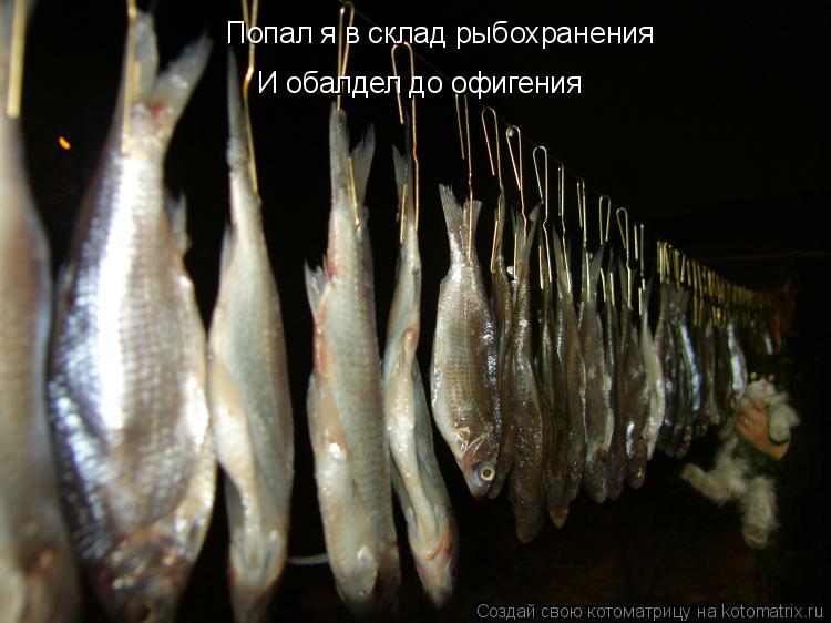 Попал я в склад рыбохранения И обалдел до офигения... Котоматрица: Попал я в склад рыбохранения И обалдел до офигения