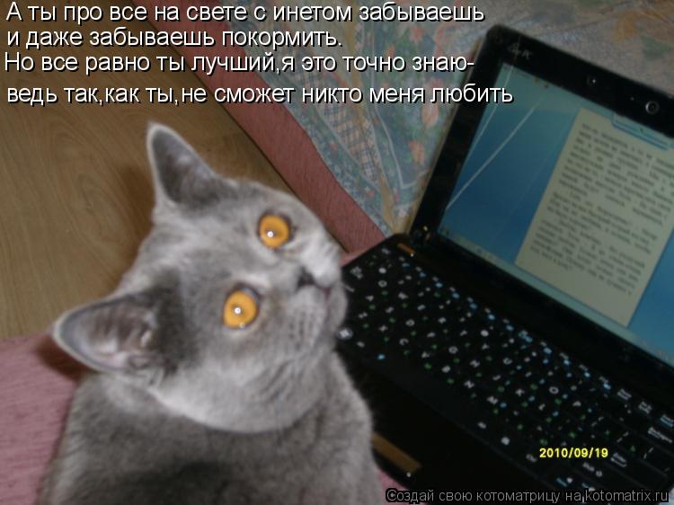 А ты про все на свете с инетом забываешь и даже забываешь покормить. Но все равно ты лучший,я это точ... Котоматрица: А ты про все на свете с инетом забываешь и даже забываешь покормить. Но все равно ты лучший,я это точно знаю- ведь так,как ты,не сможет никто м